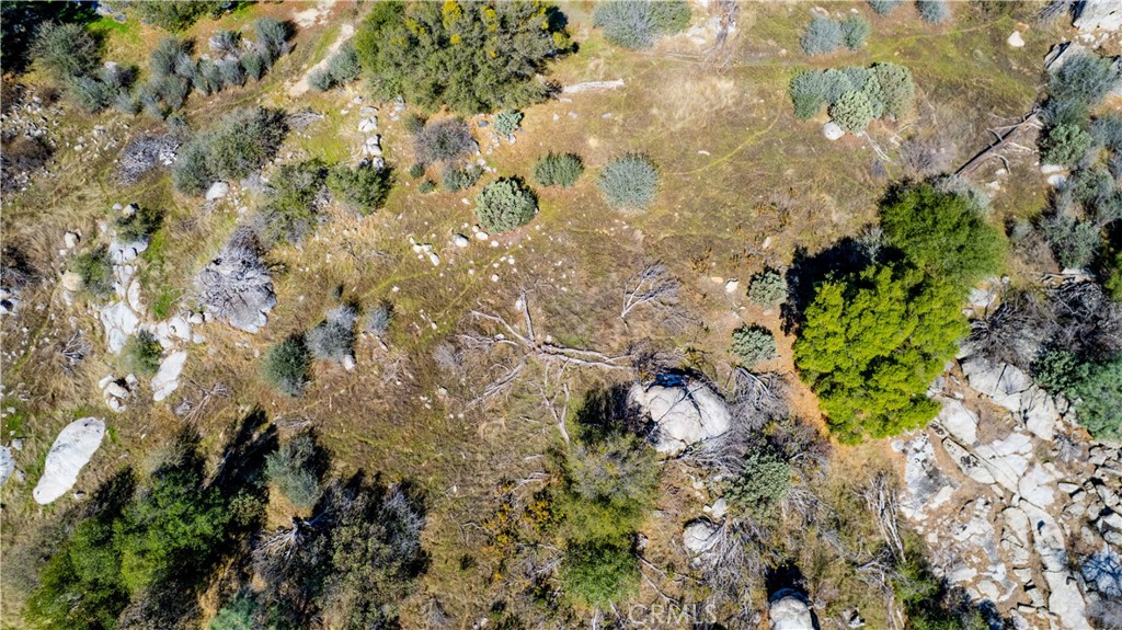 4658 Little Bear Property Photo 3