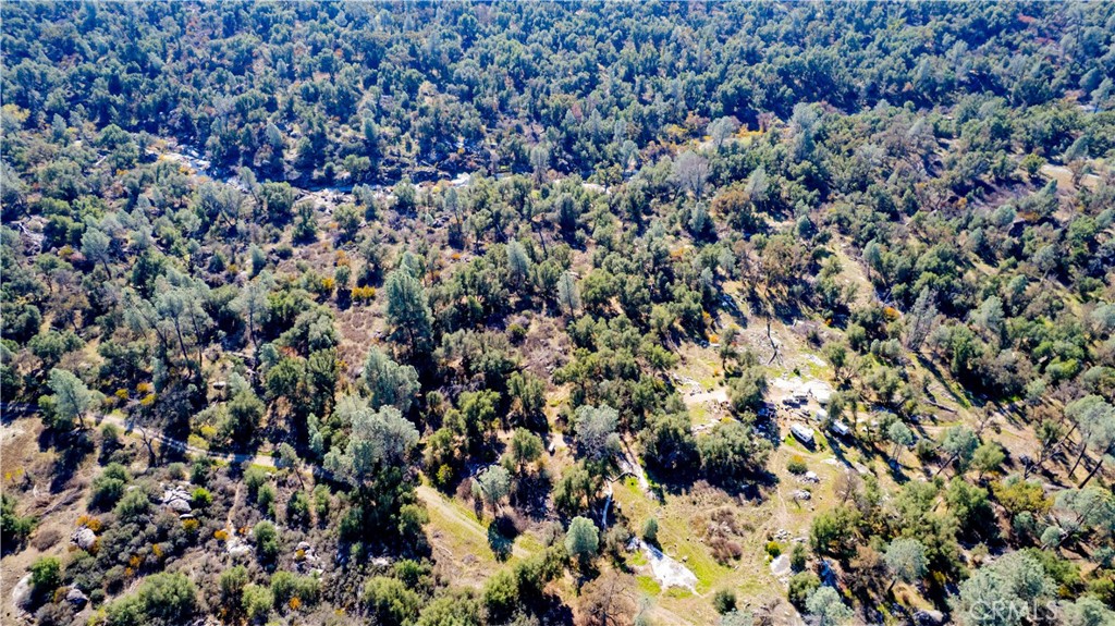 4658 Little Bear Property Photo 5