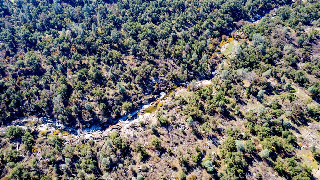 4658 Little Bear Property Photo 6