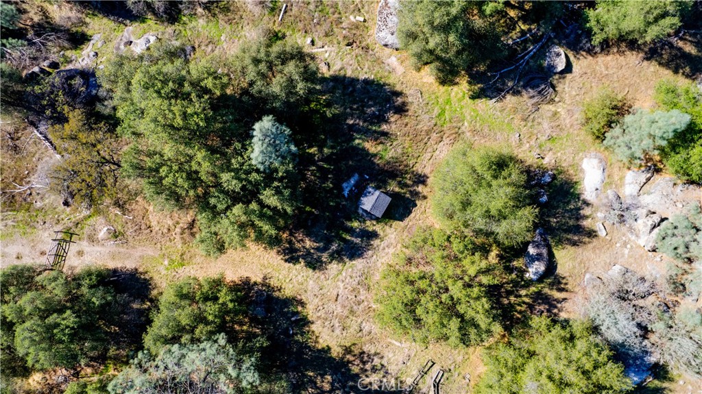 4658 Little Bear Property Photo 7