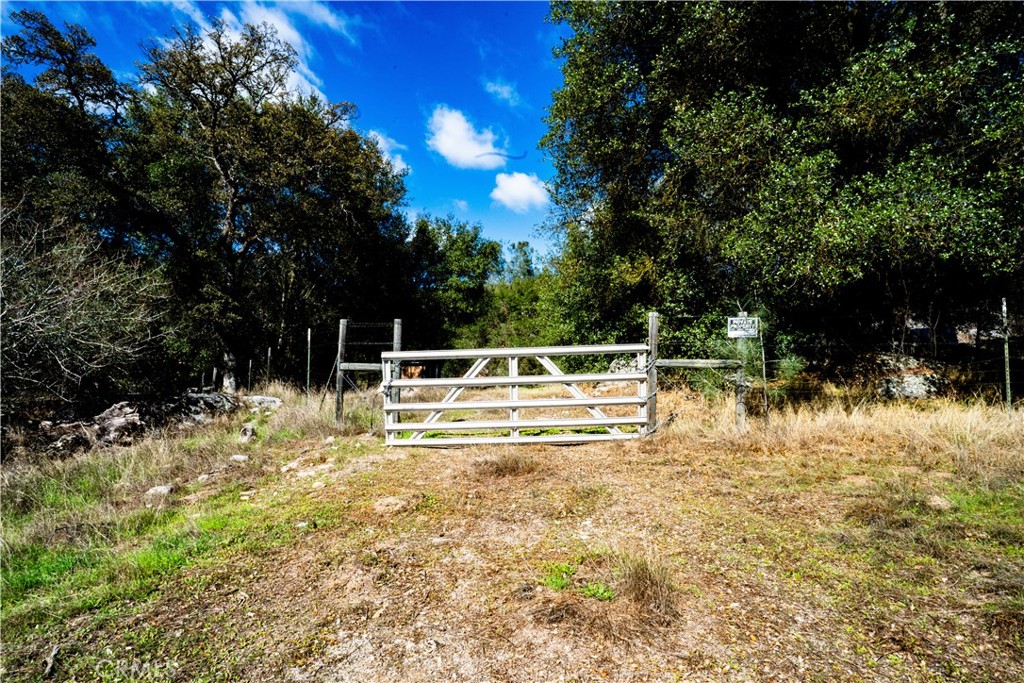 4658 Little Bear Property Photo 10