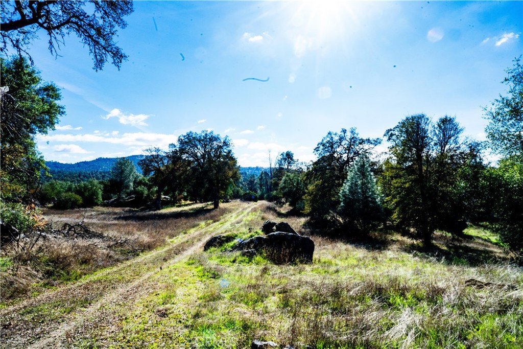 4658 Little Bear Property Photo 12