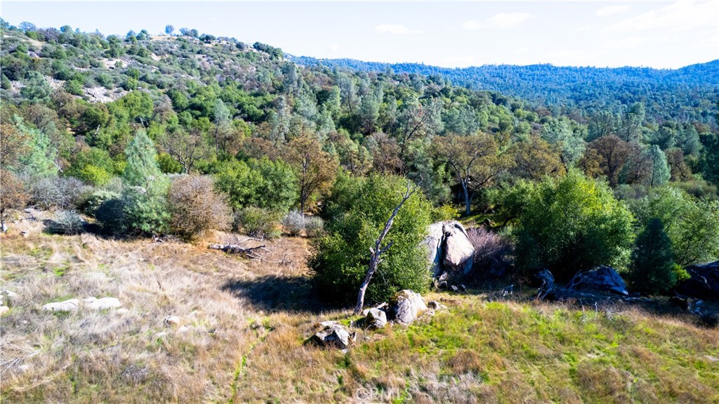 4658 Little Bear Property Photo 13