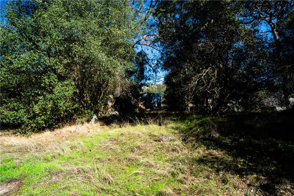 4658 Little Bear Property Photo 16