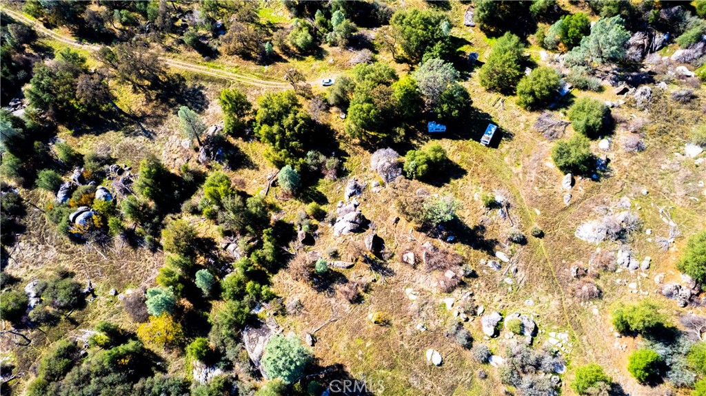 4658 Little Bear Property Photo 19