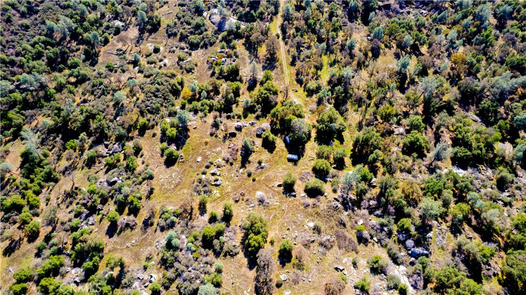 4658 Little Bear Property Photo 20