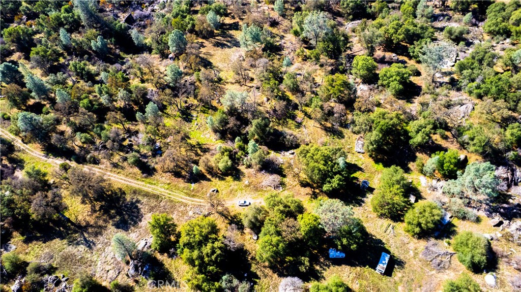 4658 Little Bear Property Photo 21