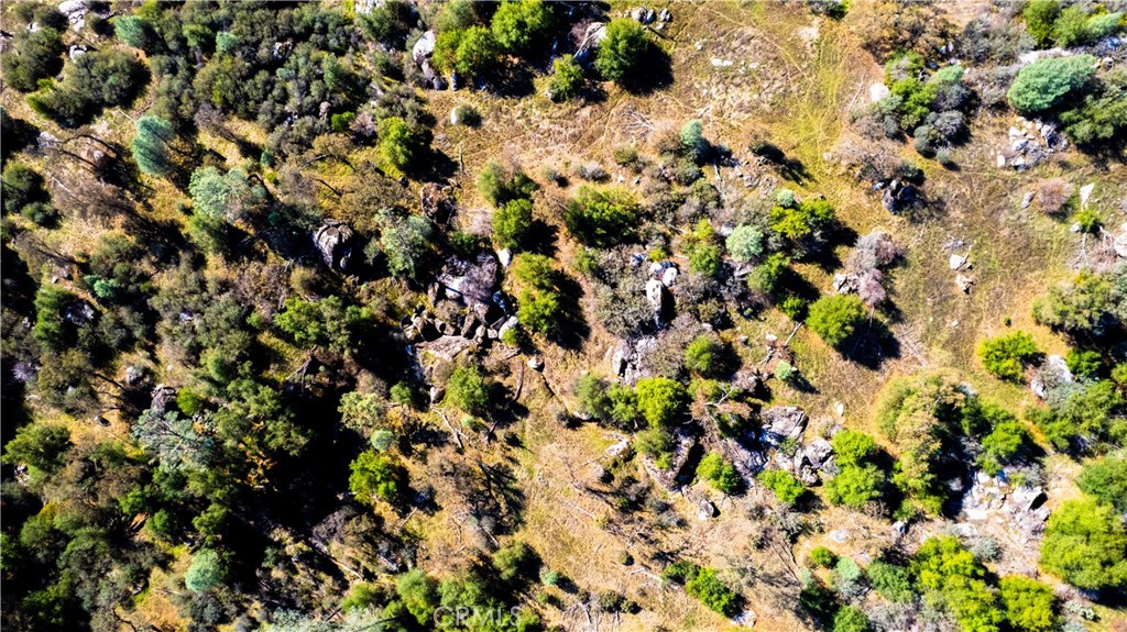 4658 Little Bear Property Photo 22