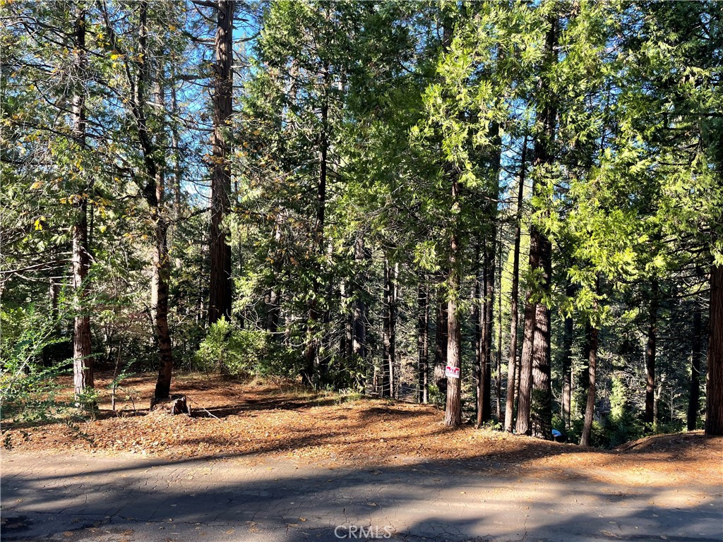 22447 Ponderosa Drive Property Photo 1