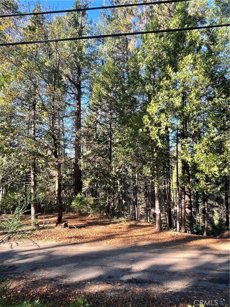 22447 Ponderosa Drive Property Photo 2
