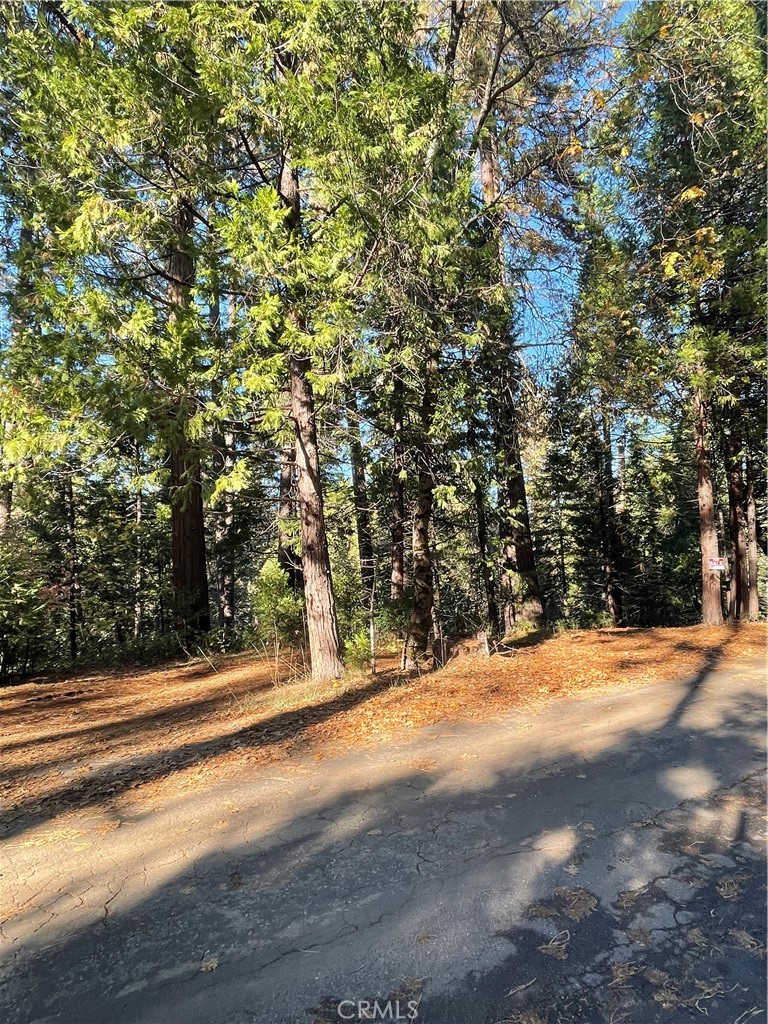 22447 Ponderosa Drive Property Photo 3