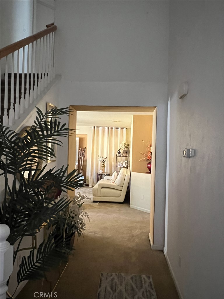 924 Dosangh Court Property Photo 11