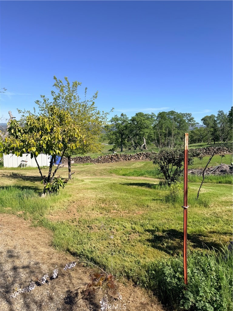 9556 Banderilla Property Photo 60