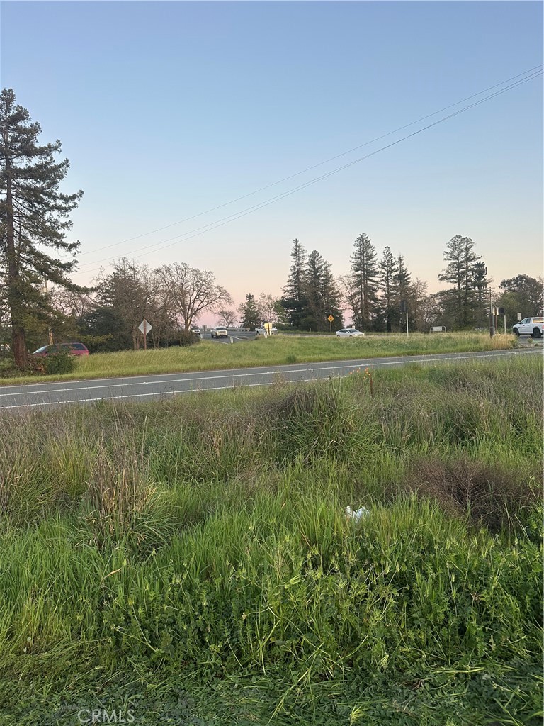705 Shiloh Property Photo 3
