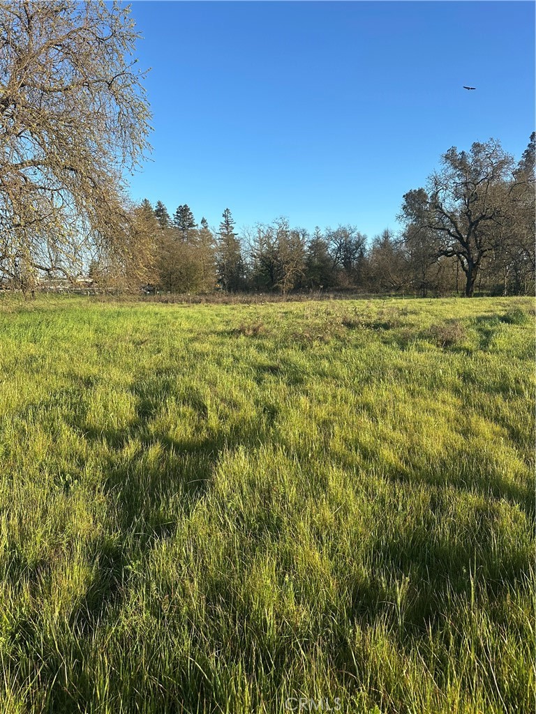 705 Shiloh Property Photo 9