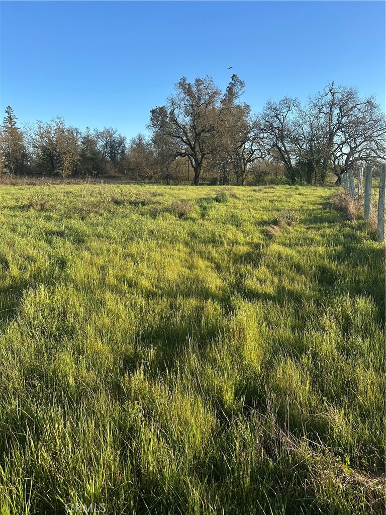 705 Shiloh Property Photo 10