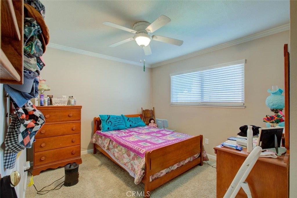 1625 Sheldon Property Photo 19