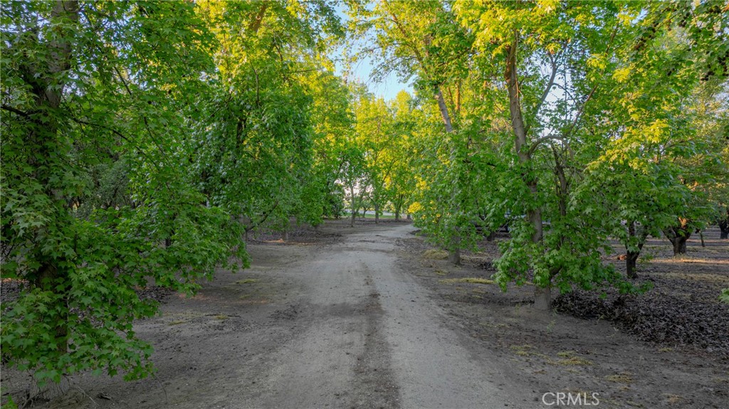 11126 Livingston Cressey Road Property Photo 8