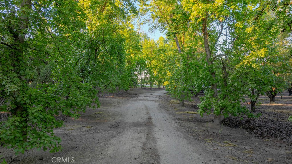 11126 Livingston Cressey Road Property Photo 8