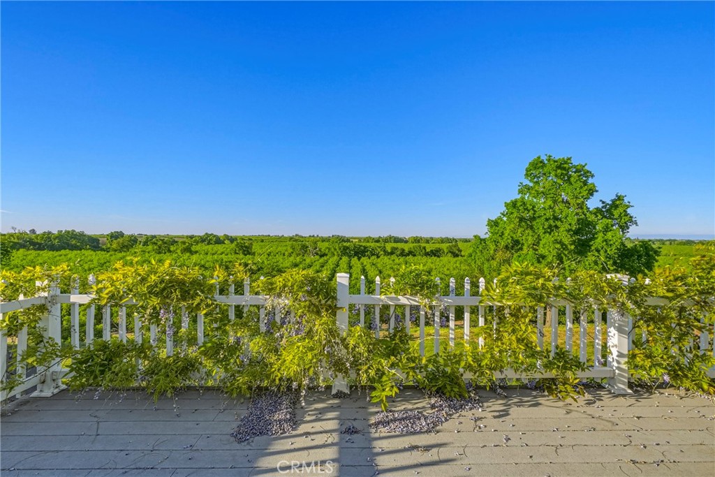 11126 Livingston Cressey Road Property Photo 49
