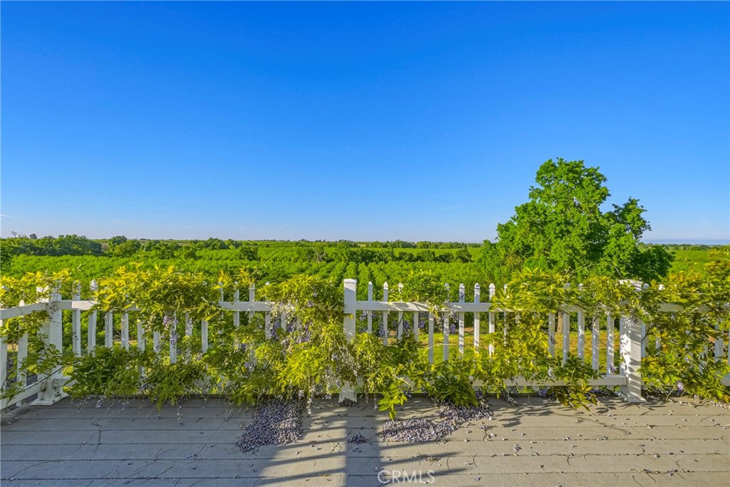 11126 Livingston Cressey Road Property Photo 49