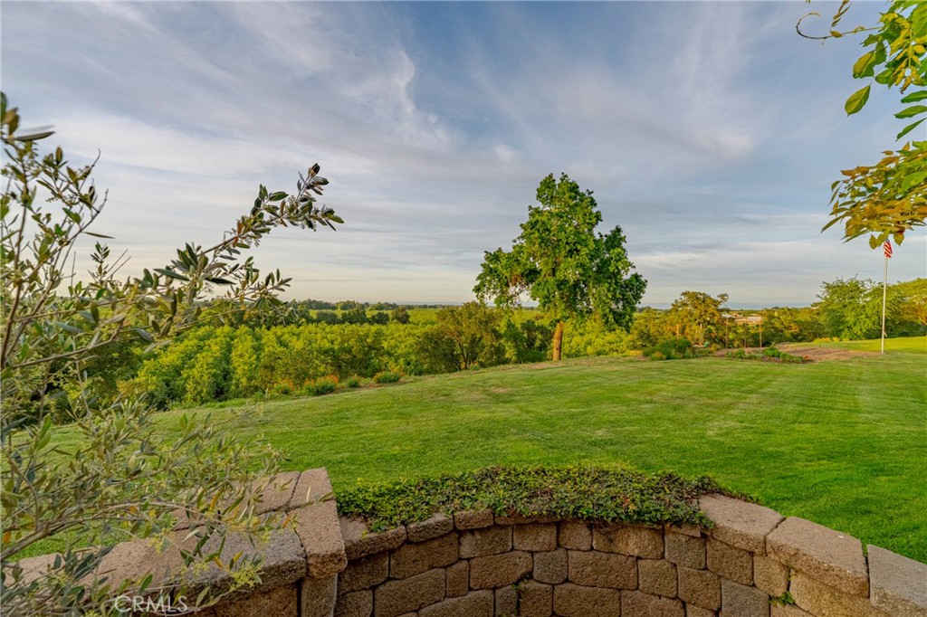 11126 Livingston Cressey Road Property Photo 53
