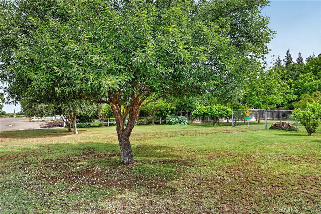 3276 E Olive Avenue Property Photo 5
