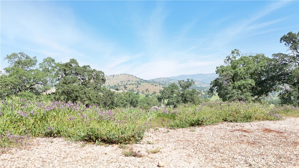 3295 Blue Oak Dr Property Photo 1