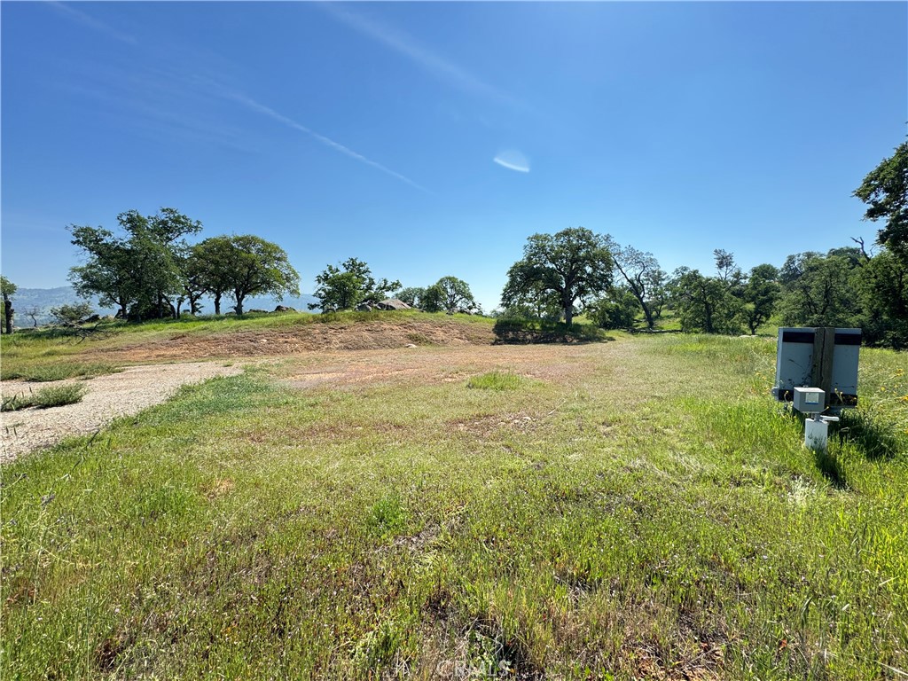 3295 Blue Oak Dr Property Photo 2