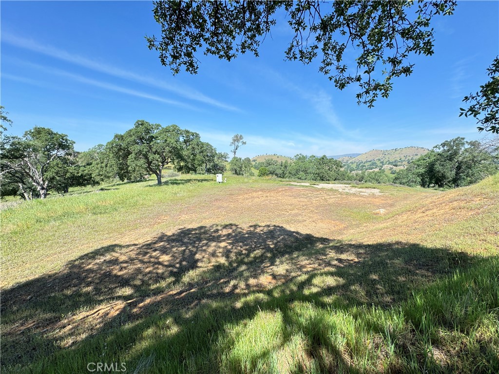 3295 Blue Oak Dr Property Photo 3