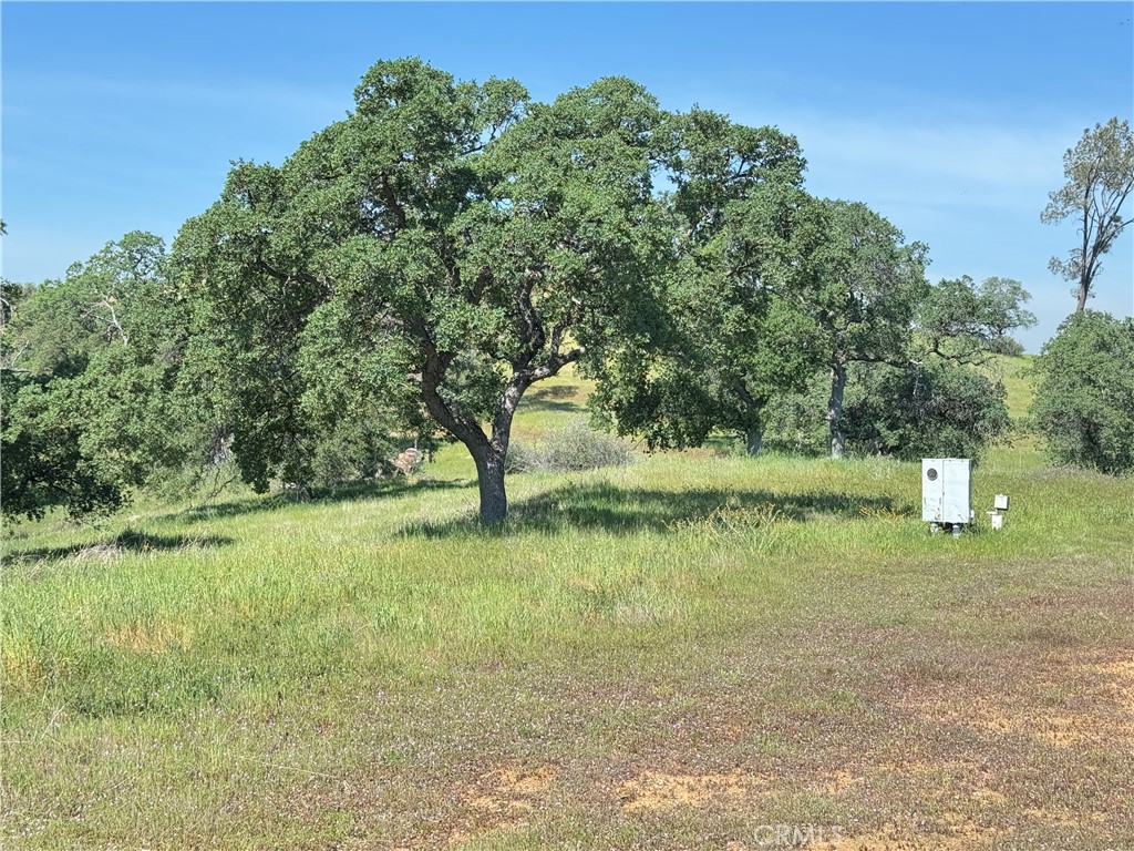 3295 Blue Oak Dr Property Photo 4
