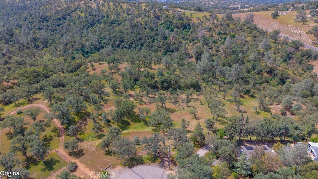 3222 Hormiga Court Property Photo 6