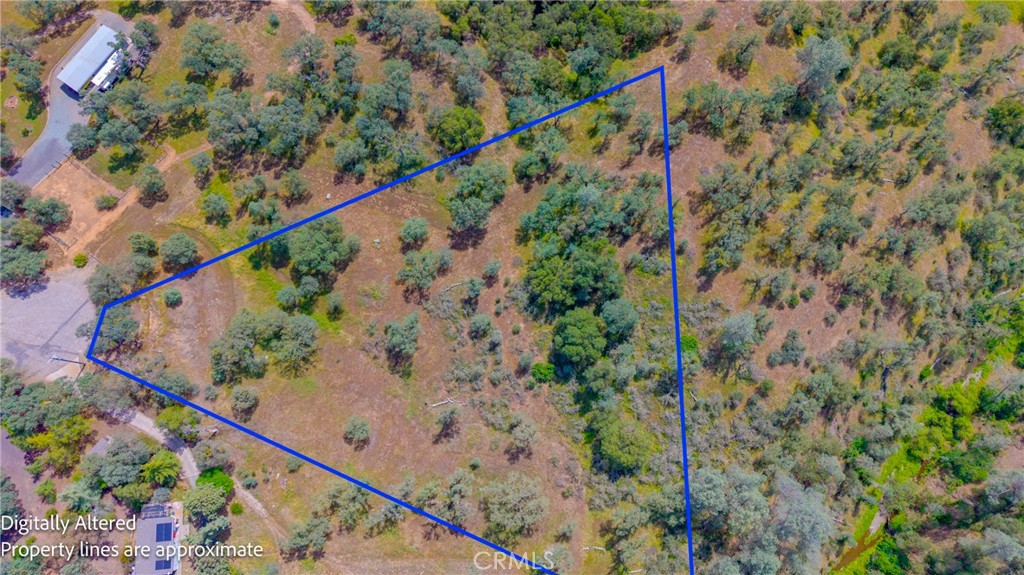 3222 Hormiga Court Property Photo 7