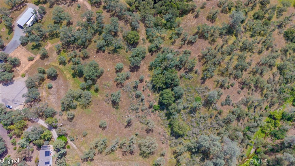 3222 Hormiga Court Property Photo 8