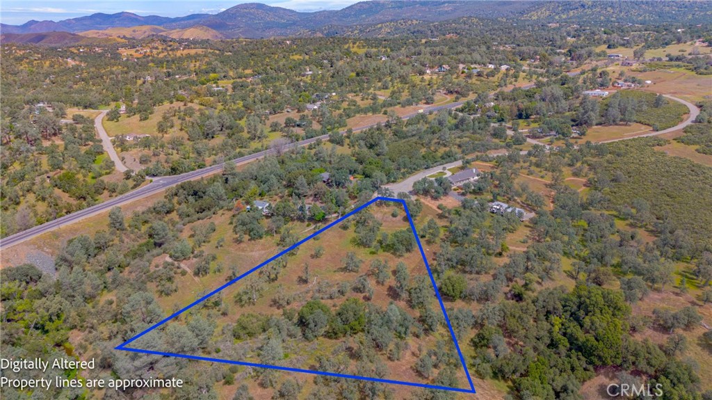 3222 Hormiga Court Property Photo 11