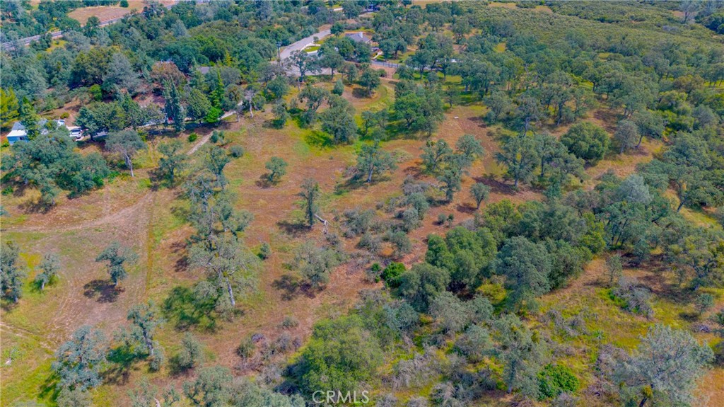 3222 Hormiga Court Property Photo 15