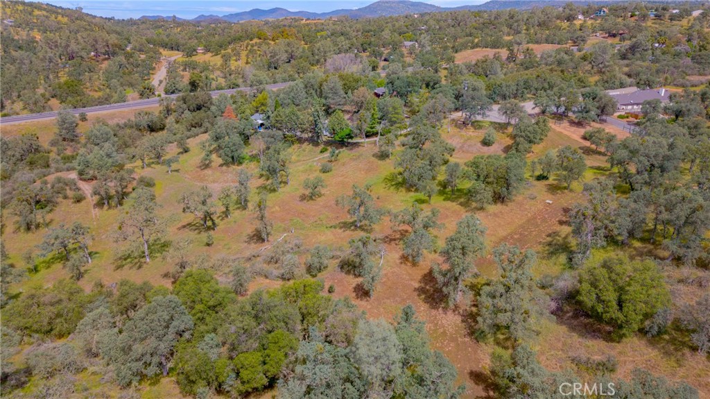 3222 Hormiga Court Property Photo 16