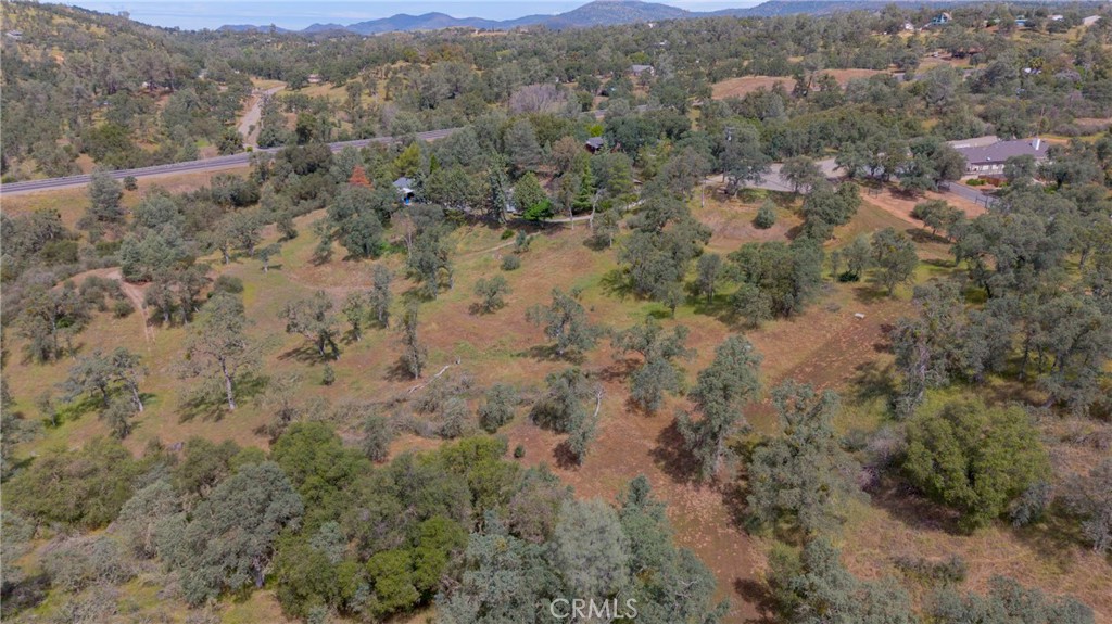 3222 Hormiga Court Property Photo 17