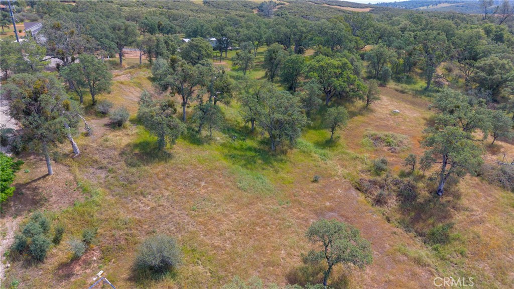 3222 Hormiga Court Property Photo 18
