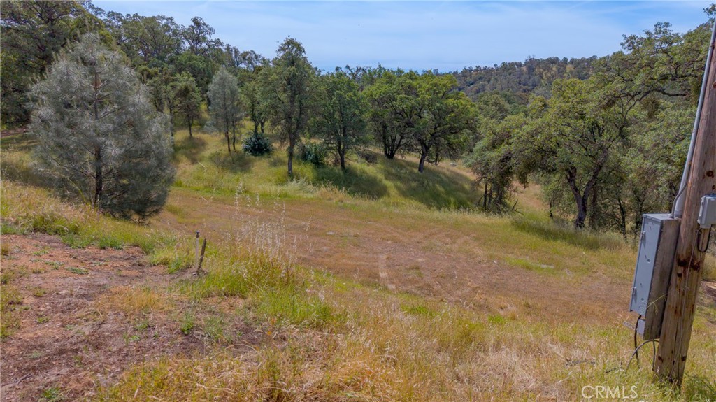 3222 Hormiga Court Property Photo 19