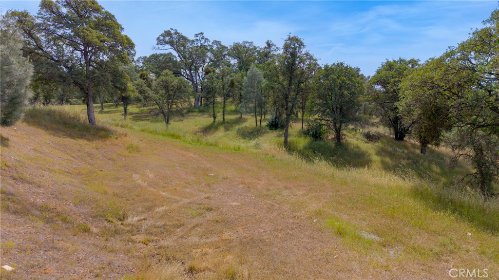 3222 Hormiga Court Property Photo 20