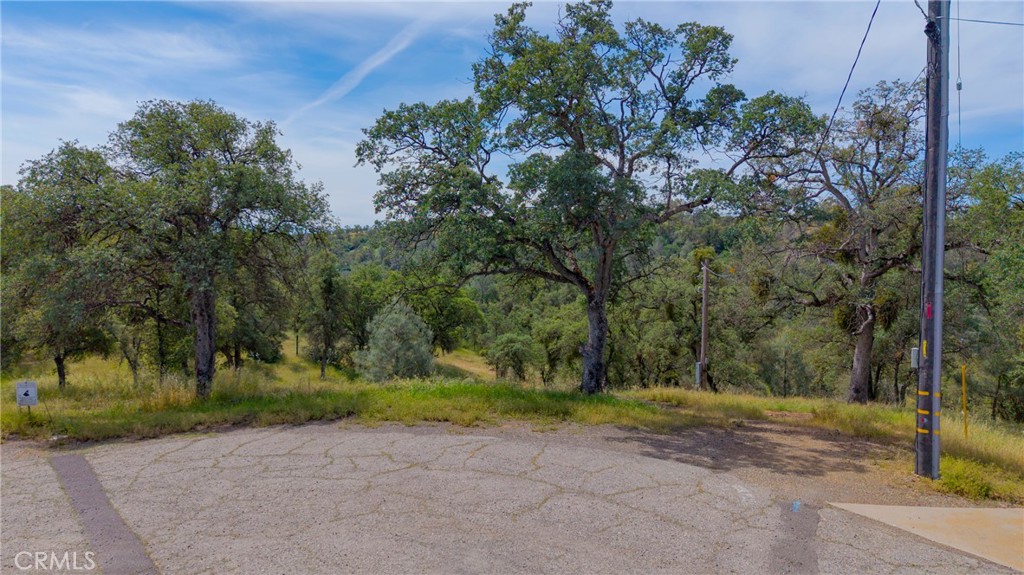 3222 Hormiga Court Property Photo 21