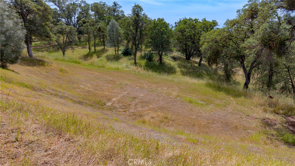 3222 Hormiga Court Property Photo 23
