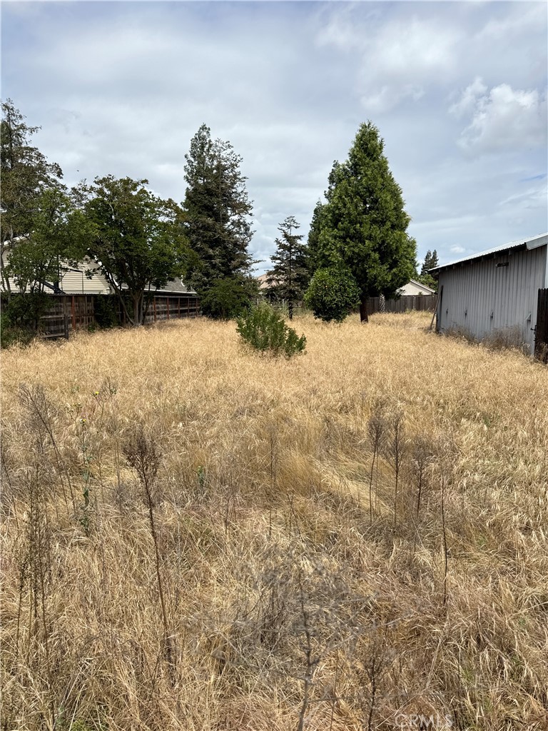 1101 E Monte Vista Property Photo 57