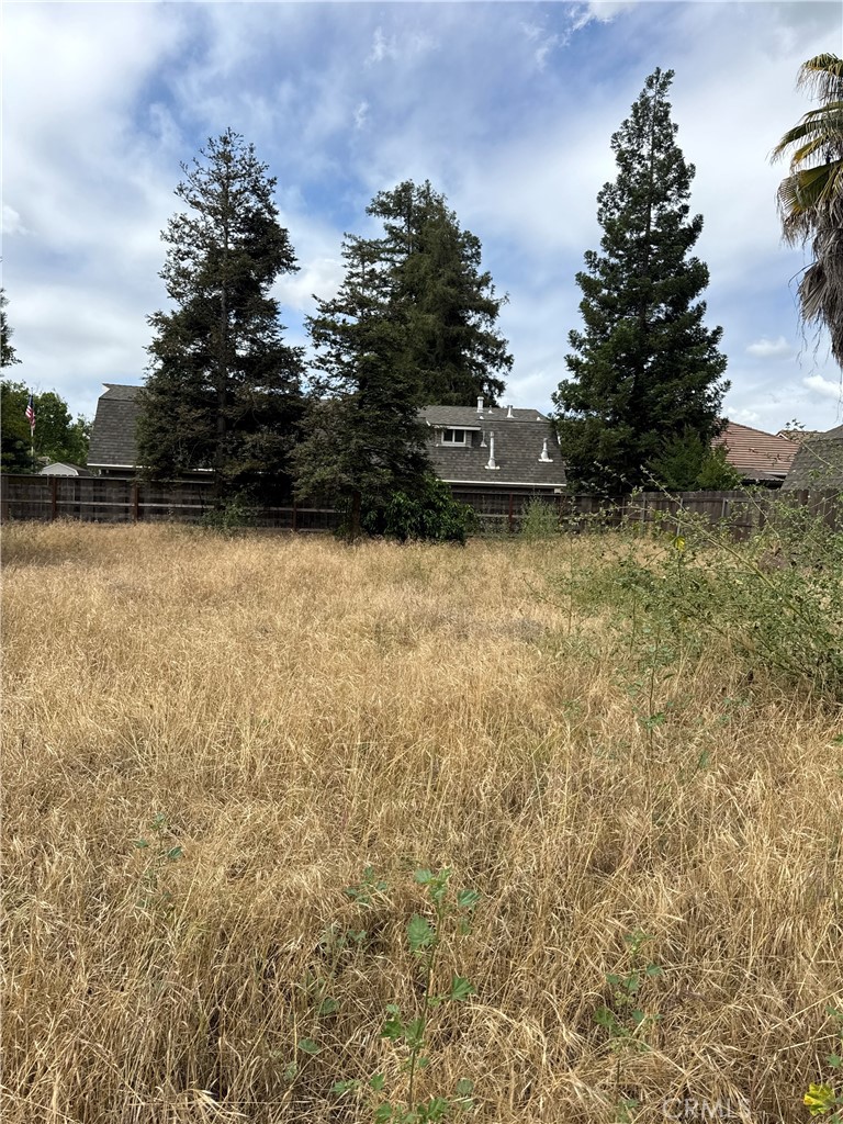 1101 E Monte Vista Property Photo 65