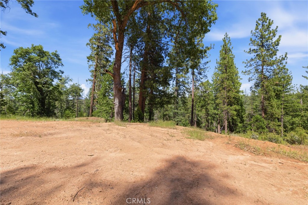 21552 Sprague W Property Photo 22