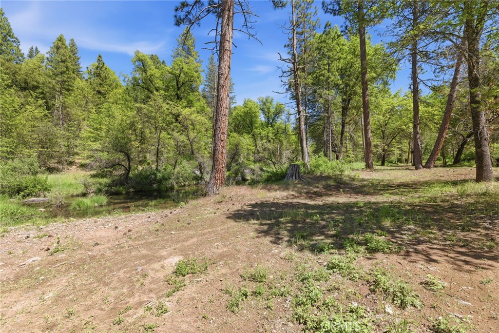 21552 Sprague W Property Photo 24