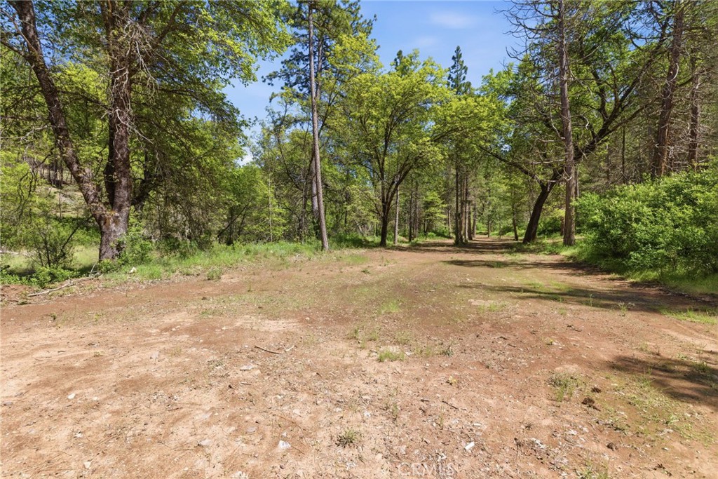 21552 Sprague W Property Photo 25