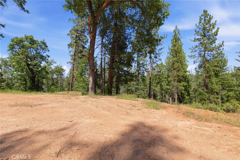 21552 Sprague W Property Photo 27