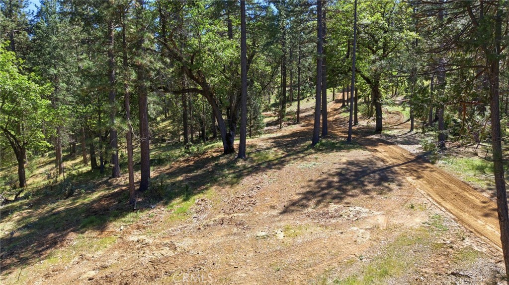 21552 Sprague W Property Photo 35